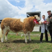Tralee 2011 Champion 'Fearna Aspen'