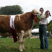 Tullow 2011 Champion 'Clonagh Absolutely Fabulous'