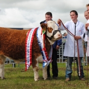 Bonniconlon 2012 Overall Champion \'Fearna Countess\'