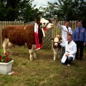 Riverstown 2012 Champion & Overall Breed Champion \'Fearna Tiffany\'
