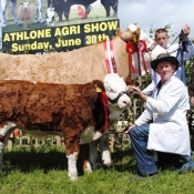 Athlone 2013 Champion \'Raceview Winty Matilda\'