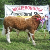 Baileborough 2013 Overall Champion \'Dermotstown Del Boy ET\'