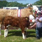 Barryroe 2013 Overall Champion Interbreed Female \'Raceview Winty Matilda\'
