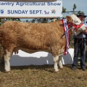 Bantry 2013 Champion \'Raceview Winty Matilda\'