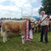 Charleville 2013 Male Champion \'Seaview Denver\'