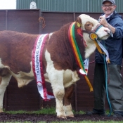 Barryroe Champion, Interbreed Calf &Weanling Bull Champion 'Carbery Fintona'