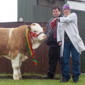 Barryroe Yearling Bull Champion 'Slieveroe Frontline ET'