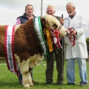 Cappamore Champion 'Towerhill Freaky Friday'