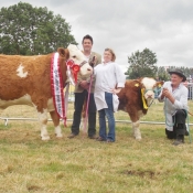 Charleville Show Female Champion 'Raceview Classy Terona'
