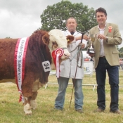 Charleville Show Male Champion 'Dripsey Frankie'