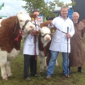 Claremorris Show Champion