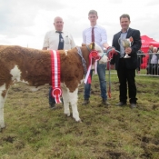 Clonakilty Show Champion 'Seaview Gabby'