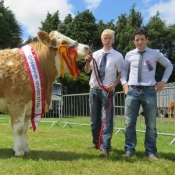 Clonmel Show Champion 'Clonagh Dora The Explorer'