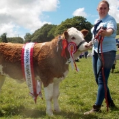 Dunmanway Champion \'Seaview Gabby\'
