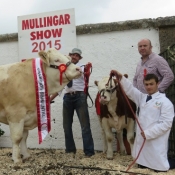 Mullingar Champion \'Clonagh Darling Eyes\'