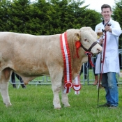 Oldcastle Champion 'Dermotstown Franco'