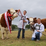 Swinford Champion & Reserve Interbreed Champion 'Fearna Destiny'