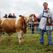 Ballina Show Champion 'Fearna Goodyear'