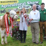Ballinrobe Show Club Yearling Champion & Overall Simmmental Champion 'Rathlee G-Man'