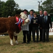Ballygarvan Show Overall Champion & Interbreed Champion 'Raceview Faustina Wynty'
