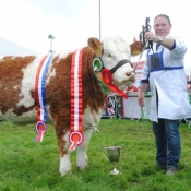 Bonniconlon Show Champion 'Tawley Gretta'