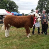 Charleville Show Female Champion 'Corbally Goddess Vintage Katie'