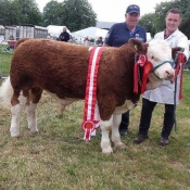 Charleville Show Male Champion 'Seaview Gladiator'