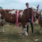 Clonakilty Show Champion 'Littlerock Dervla Annie'