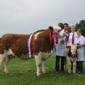 Co Louth Show Champion & Interbreed Champion 'Kilbride Farm Eunice 168E'