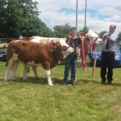 Dunmanway Show Overall Champion 'Clonagh Delightfully Fabulous'