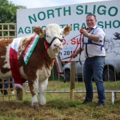 Grange Show Champion & Interbreed Champion 'Tawley Gretta'