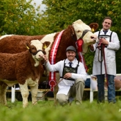 Strokestown Show Champion 'Fearna Destiny'