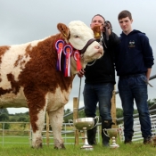 Swinford Show Simmental Champion & Interbreed Champion 'Tawley Gretta'