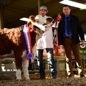 Roscommon Nov'16 Weanling Heifer Champion 'Clonagh Honey Bee' €5400