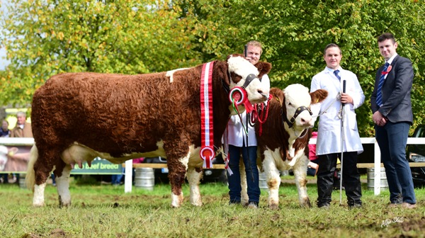 Strokestown 2017 Overall Champion 'Fearna Faith'