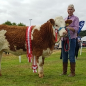 Ballygarvan 2017 Champion 'Dripsey Honey Heart'
