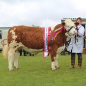 Bandon 2017 Female & Overall Champion 'Quitrent Giselle'
