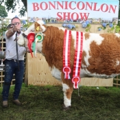 Bonniconlon Show 2017 Simmental Champion, Interbreed Champion & Reserve Overall Champion for Keiran Mullarkey, Sligo