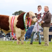 Cappamore 2017 Champion Simmental, Club Champion & Champion Yearling Bull 'Mount Hawkeye'