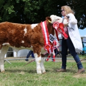 Charlevillle 2017 Champion Female Raceview J Beauty
