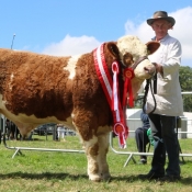 Charlevillle 2017 Male Champ Raceview Herman