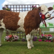 Fingal 2017 Champion Jennalyn Gina Tina