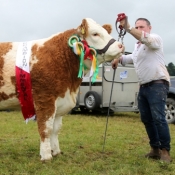 Riverstown 2017 Champion & Interbreed Champion 'Tawley Gretta'