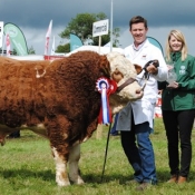 Virginia 2017 FBD Sponsored Overall Calf Champion 'Dermotstown High King'