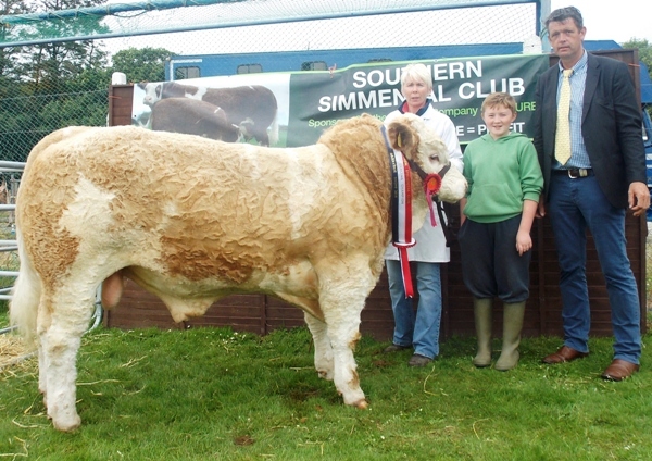 Barryroe Southern Simmental Club Aug-Sept Bull Champion \'Dripsey Eddie Rocket\'