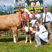 Athlone Show Champion \'Fearna Vienna\'