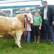 Barryroe Southern Simmental Club Aug-Sept Bull Champion \'Dripsey Eddie Rocket\'