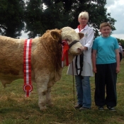 Charleville Show Male Champion \'Dripsey Eddie Rocket\'