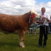 Cork Reserve Champion \'Slieveroe Debbie\'