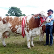 Dunmanway Overall Champion & Reserve Interbreed Champion \'Raceview Alicia Kim\'